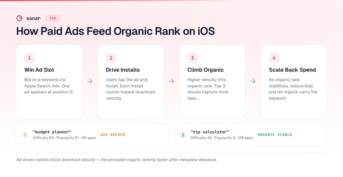 Flowchart showing how Apple Search Ads drive installs that boost organic rank — with keyword examples comparing budget planner (difficulty 63, ads needed) and tip calculator (difficulty 42, organic viable)